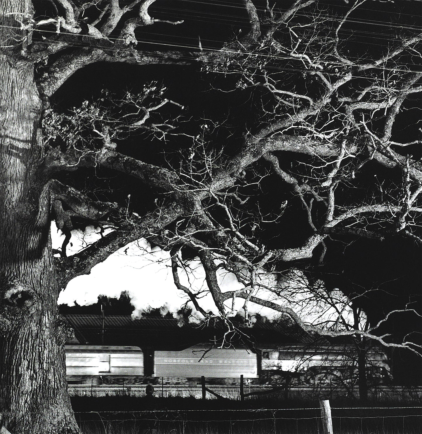 O. Winston Link Giant Oak, West-bound Birmingham Special at Max Meadows, 1957 Train Photo Poster Framed Canvas, Old train pictures poster, Canvas Wall, Decor Canvas