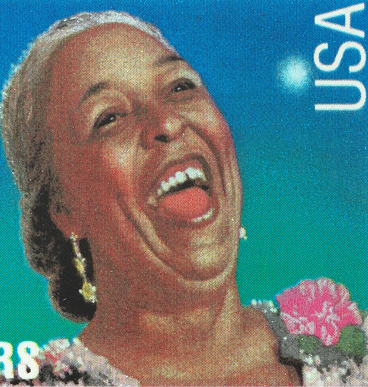 Ethel Waters Musical Jazz Stamp Postage Picture Poster Framed Floating, American Stamp, American Famous Singer Stamp, Picture Wall Art Decoration