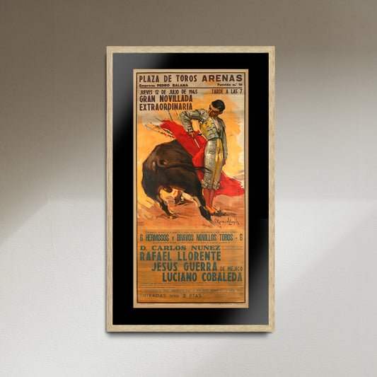 Spanish Bullfighting Plaza De Toros Arenas Vintage Fine Art Print Poster, Lithograph, Matador, Torero, Wall Hangings, Home Decor, Gift
